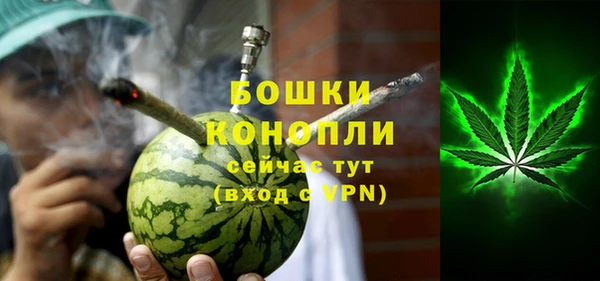 мдпв Ельня