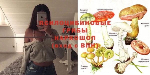 прущая мука Балахна