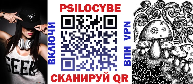 Псилоцибиновые грибы Psilocybe  Лениногорск 