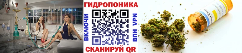МАРИХУАНА индика что такое Лениногорск